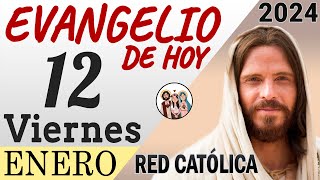 Evangelio de Hoy Viernes 12 de Enero de 2024  REFLEXIÓN  Red Catolica [upl. by Viehmann]