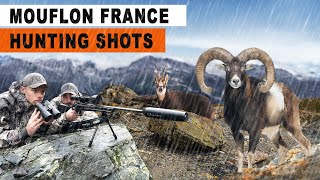 Chasse au Mouflon  Chamois  France 2024 [upl. by Iruj]