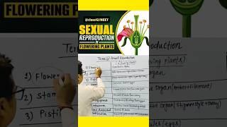 Sexual reproduction in Flowering plants neet ncertbiology angiosperms [upl. by Carmelo]