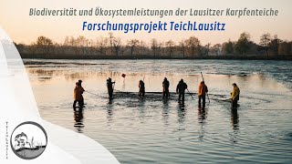 Biodiversität und Ökosystemleistungen der Lausitzer Karpfenteiche Forschungsprojekt TeichLausitz [upl. by Brien758]