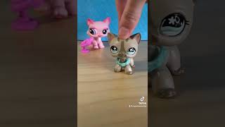 We’re LPSTubers and… 😂 littlestpetshop lps [upl. by Lateehs316]