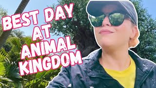 First Time Fun At Disney’s Animal Kingdom Theme Park [upl. by Lucien]