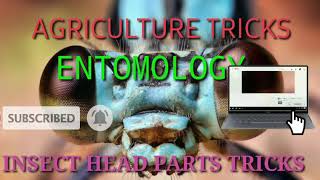 INSECT HEAD PART TRICKS MOST FOR PRE PG2020 AGRICULTURE [upl. by Ccasi]