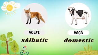 JOC DOMESTIC sau SALBATIC Recunoaste animalul [upl. by Emilio]