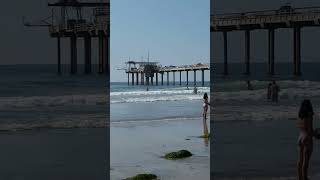 Leisurely Saturday in the beach near Scripps Memorial Pier with a chair in the water amp a sand castle [upl. by Selim]