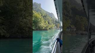 Beautiful View🇨🇭Urnersee Lake Uri Lake Lucerne Tellsplatte to Sisikon Uri Switzerland Shorts [upl. by Goober]