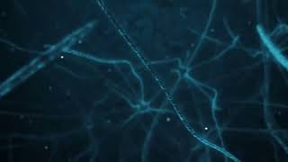 Brain Neurons Full HD Royalty Free Stock Footage 1080p [upl. by Anaoj]