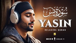 Stunning recitation of Surah Yasin Yaseen سورة يس  Relaxing Soft Voice  Zikrullah TV [upl. by Anoyek900]