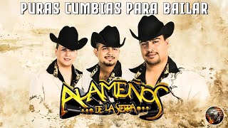 Los Alameños de La Sierra Mix  Cumbias Sierreñas  Las Mas Chingonas Pa Bailar  Norteñas Mix [upl. by Isla]