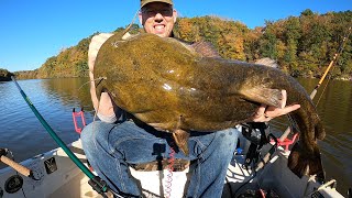 Catching BIG Catfish in TINY Boat  tips and tactics to catch more catfish [upl. by Robinson]