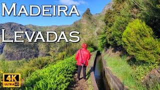 Madeira Levada Walks • 4K [upl. by Peacock]