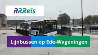 RRReis  Hermes  Lijnbussen op station EdeWageningen [upl. by Yorle634]