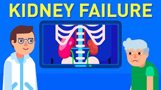 What is Kidney Failure [upl. by Eissej]