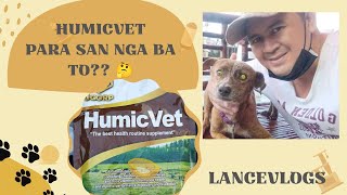 Tamang Pagtimpla ng HumicvetFood Supplement for dogs [upl. by Dachi]