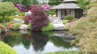 An extraordinary Japanese garden  Un jardin japonais extraordinaire [upl. by Swor110]