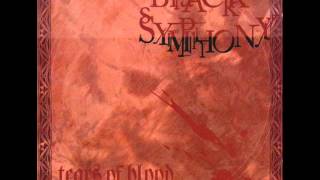 Black Symphony  Zero the Hero Black Sabbath cover [upl. by Madelene]