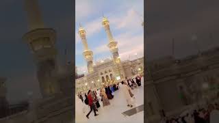 Azan madina very beutiful voice reaction😍azanmadina viralshort [upl. by Llenyaj]