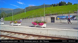 Interlaken to Grindelwald by Train SWITZERLANDSummer60FPS [upl. by Ecinrahs]