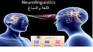 Neurolinguistics اللغة والدماغ [upl. by Hoopes822]