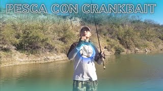 Pescando con currican o Crankbait esta es la mejor temporada para pescar lobina 💪 [upl. by Rombert]