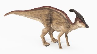 Parasaurolophus Dinosaur [upl. by Nathalie]