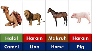 Halal and Haram Animal and Birds Meat in Islam  Halal Animals  Halal Birds Halal Meat Haram Meat [upl. by Uzial]