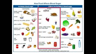 Adult Type 2 Diabetes  4 Nutrition Basics [upl. by Aved]