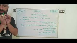 Tissue class 9 th ncert biology part5 [upl. by Basset]