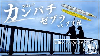 【ショアジギング】ブリ族にも効果は抜群！撃投ジグ カンパチゼブラで青物釣行 [upl. by Edroi]