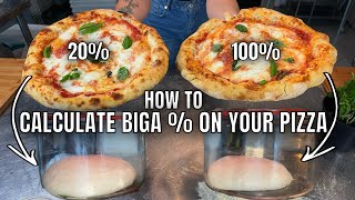 In Depth Understanding Biga  For Pizza Dough [upl. by Bigot730]