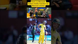 INDIAN MEDIA REACTION ON MAXWELL WICKET pakvsaus harisrauf indianmediashocked ytshorts VIRAL [upl. by Proffitt]