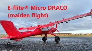 Eflite® Micro DRACO maiden flight [upl. by Lohcin]