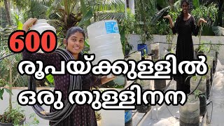 600 രൂപയ്ക്കുള്ളിൽ ഒരു തുള്ളിനന Drip irrigation system in my terrece garden irrigation easy tips [upl. by Whitnell144]