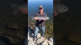 Fishing At Thornton Gravel Ponds Beautiful Trout Catch And Release urban fishing shorts fun [upl. by Merkley]