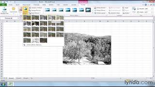 Excel Tutorial  How to edit pictures [upl. by Remmos]