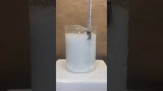 Citric acid and potassium bicarbonate in water [upl. by Narhet]