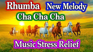 New Rhumba Cha Cha Cha Instrumental Melody  Soothing Music Beautifies the Soul amp Stress Relief [upl. by Mond]