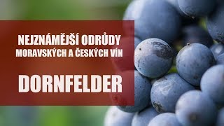 Odrůdy našich vín  Dornfelder [upl. by Runck995]