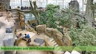 Impressionen Exotenhaus Zoologischer Stadtgarten März 2015 [upl. by Lak]