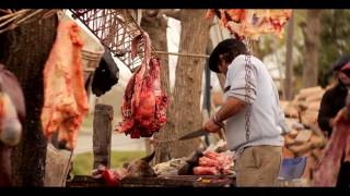 PAISANOS  ASADORES  Serie Documental TDA  Capítulo 8 [upl. by Pittman]