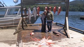 Halibut Rockfish amp Lingcod Fishing Winter Harbour BC 2017 [upl. by Enneyehc241]