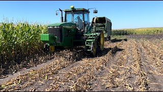 First Part of Corn Harvest Corn silage 2024 [upl. by Ebner259]