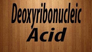 How to Pronounce Deoxyribonucleic Acid  Deoxyribonucleic Acid Pronunciation [upl. by Ahcarb]