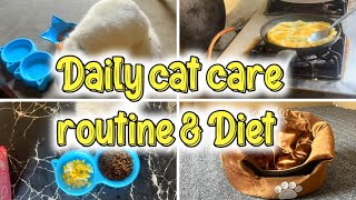 My Cats Daily Routine amp Diet  A DAY IN THE LIFE WITH MY CATS  The Casper Home Channel [upl. by Ogg]