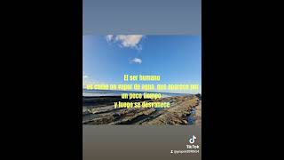 EL SER HUMANO ES MATERIA Y ENERGIA [upl. by Chlo]