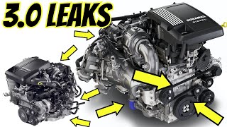 Oil and Coolant Leak locations on 30 Duramax  Ground Issue [upl. by Emmi]