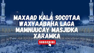 Maxaad kala socotaa waxyaabaha bishan Ramadaan laga mamnuucay masjidka barakaysan ee Xaramka [upl. by Baxter]