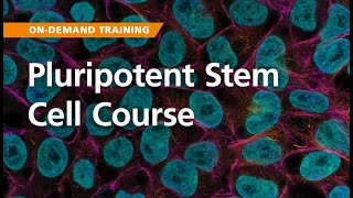 OnDemand Training Pluripotent Stem Cells [upl. by Lambart500]