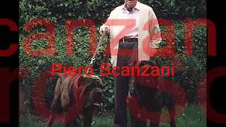 Most View Neapolitan Mastiff Puppies by Eduardo Durán Haedo [upl. by Lliw640]