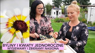 BYLINY I KWIATY JEDNOROCZNE Nasiona byliny i kwiatów jednorocznych kwiaty w ogrodzie Kasia in [upl. by Eirbua]